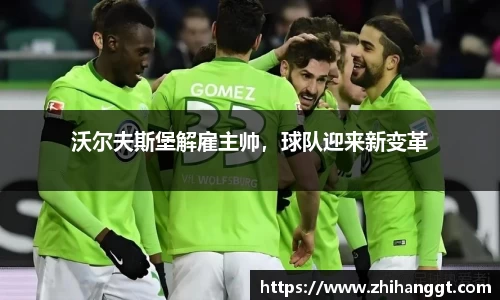 博鱼.体育官网